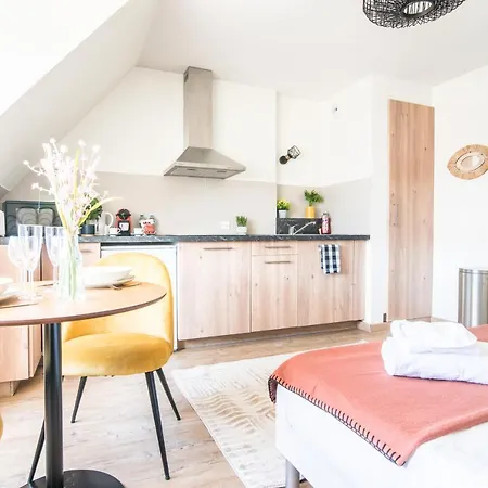 Apartamento Lumineux - L'oasis - Parking Prive Estrasburgo